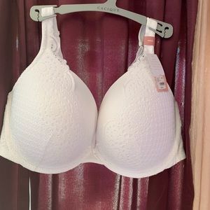 The Modern CACIQUE Collection-Boost Plunge 46 DD.